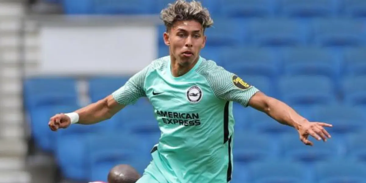 Lo que pasará con Jeremy Sarmiento en Brighton para la próxima temporada