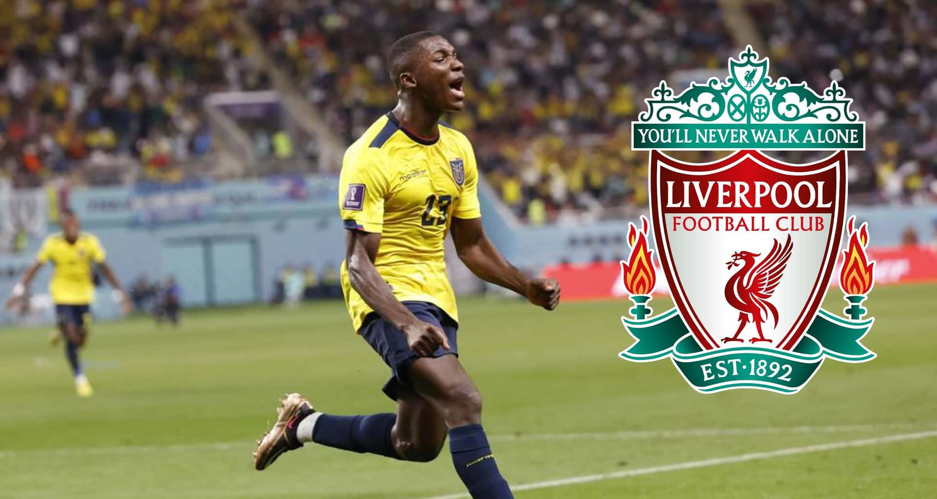 Moisés Caicedo interesa a varios grandes europeos y ahora Liverpool quiere meterse en la pelea por su fichaje