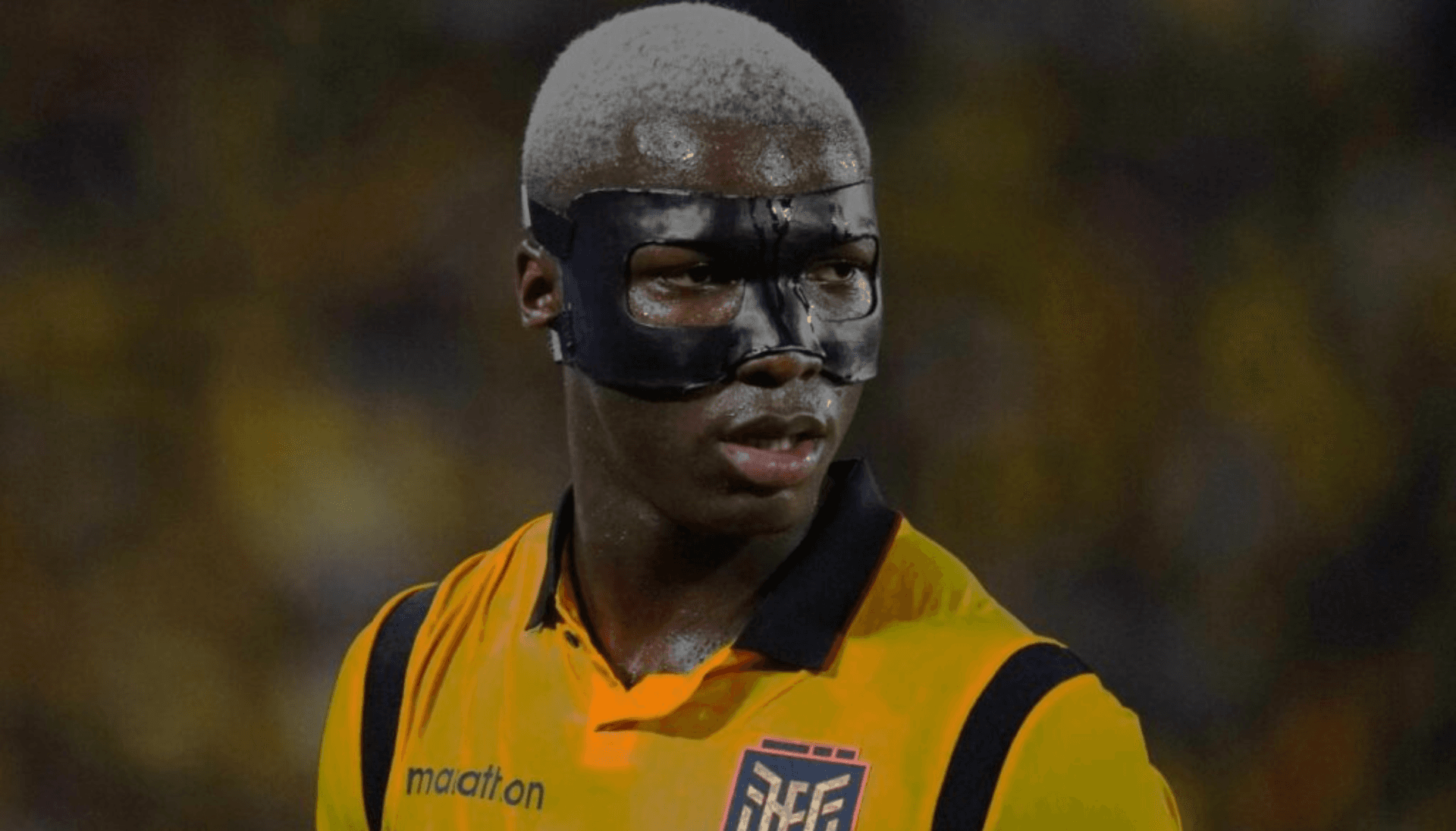 Moisés Caicedo-Selección Ecuatoriana / Foto: API