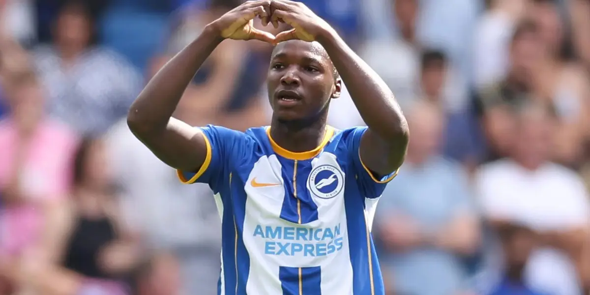 Moisés Caicedo sí jugará contra el Tottenham a pesar de su lesión