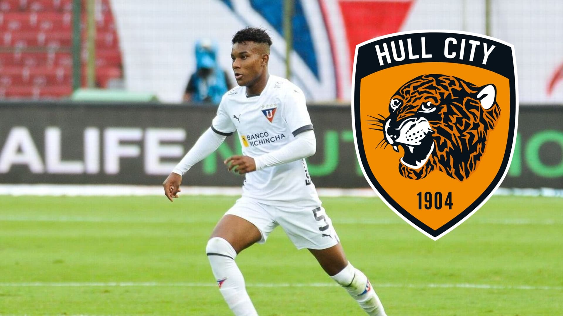 Óscar Zambrano y Hull City / Foto de: Nación Fútbol Ecuador