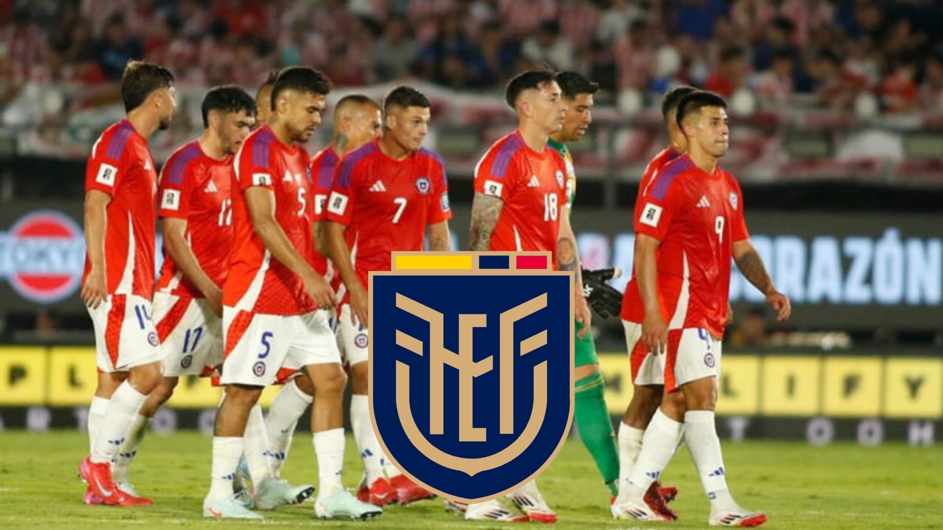 Selección Ecuatoriana / Foto de: Nación Fútbol Ecuador