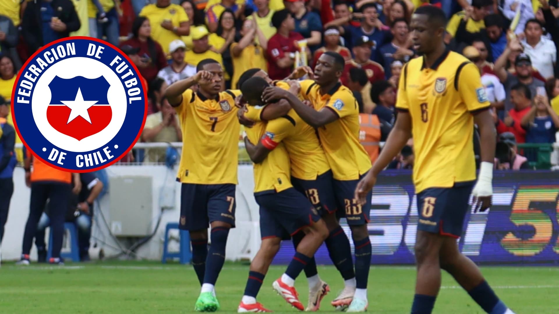 Selección Ecuatoriana / Foto de: Nación Fútbol Ecuador