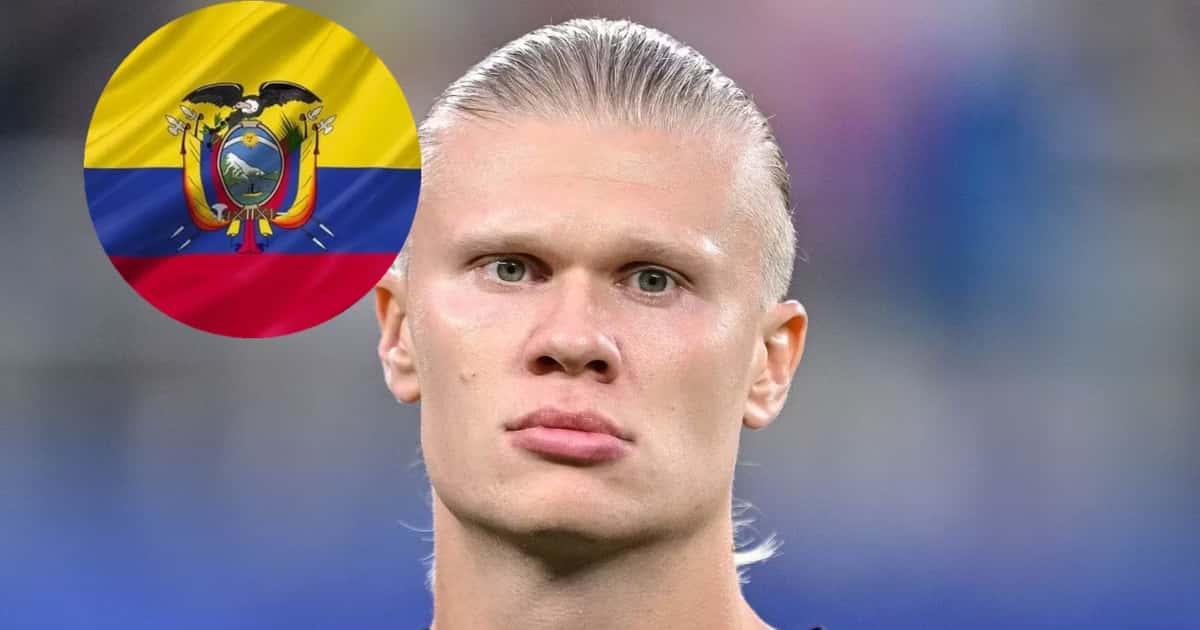 Erling Haaland